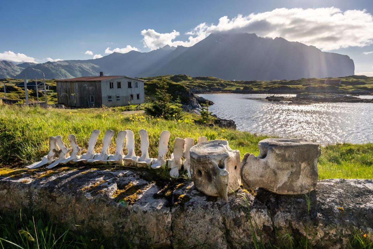 Villa Borgvag - A Unique Seafront Villa In The Heart Of Lofoten Bostad Bagian luar foto