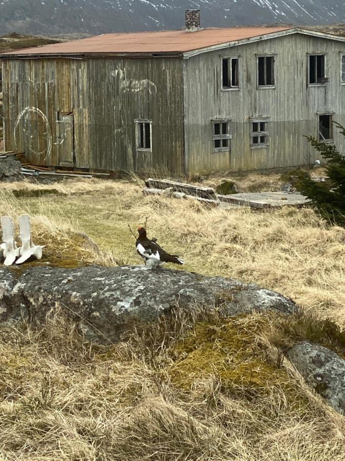 Villa Borgvag - A Unique Seafront Villa In The Heart Of Lofoten Bostad Bagian luar foto